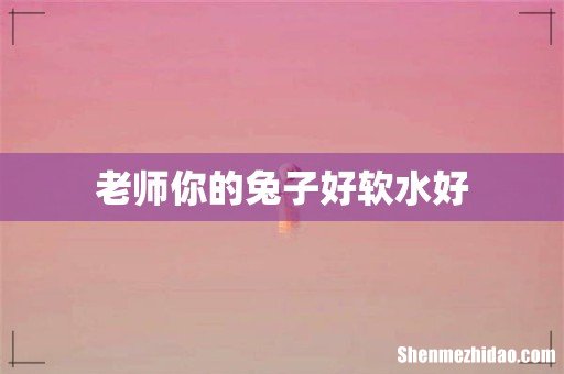 老师你的兔子好软水好