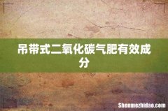 吊带式二氧化碳气肥有效成分