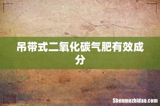 吊带式二氧化碳气肥有效成分