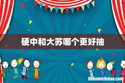 硬中和大苏哪个更好抽