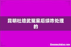 昆明杜培武冤案后续咋处理的