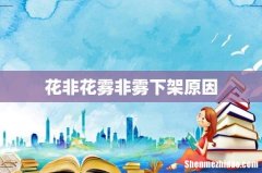 花非花雾非雾下架原因