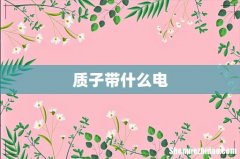 质子带什么电
