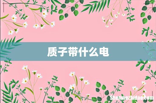 质子带什么电