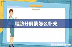 脂肪分解酶怎么补充