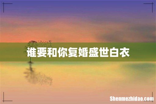 谁要和你复婚盛世白衣