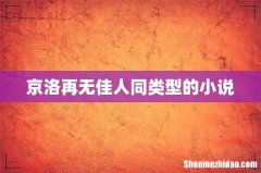 京洛再无佳人同类型的小说