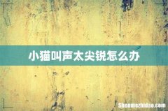 小猫叫声太尖锐怎么办