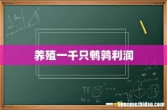 养殖一千只鹌鹑利润