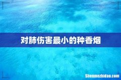 对肺伤害最小的种香烟