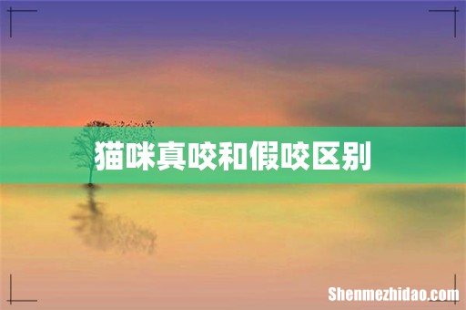 猫咪真咬和假咬区别