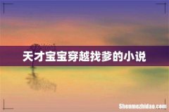 天才宝宝穿越找爹的小说