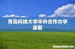 青岛科技大学中外合作办学录取