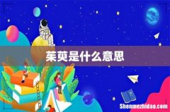 茱萸是什么意思