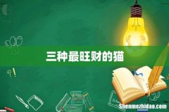 三种最旺财的猫