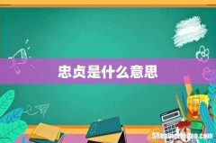 忠贞是什么意思