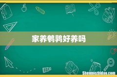 家养鹌鹑好养吗