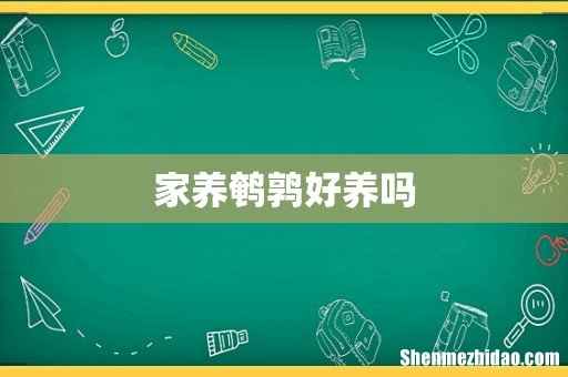 家养鹌鹑好养吗