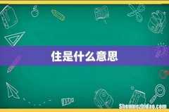 住是什么意思