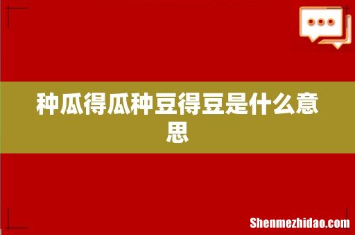 种瓜得瓜种豆得豆是什么意思