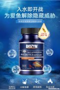 鱼缸硝化细菌胶囊怎么用 硝化细菌胶囊放鱼缸里需要拧开吗?