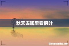 秋天去哪里看枫叶