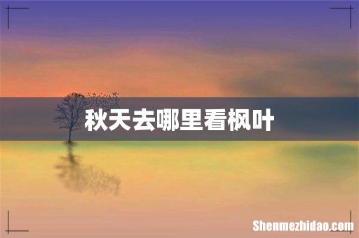 秋天去哪里看枫叶