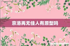 京洛再无佳人有原型吗