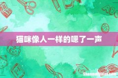猫咪像人一样的嗯了一声