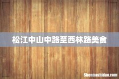 松江中山中路至西林路美食