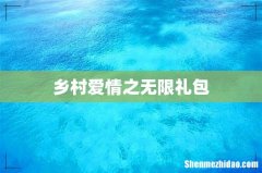 乡村爱情之无限礼包