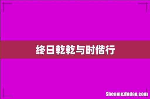 终日乾乾与时偕行