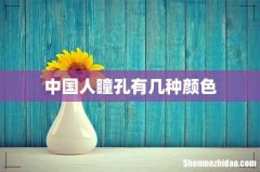 中国人瞳孔有几种颜色