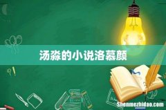 汤淼的小说洛慕颜