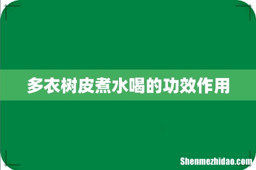 多衣树皮煮水喝的功效作用