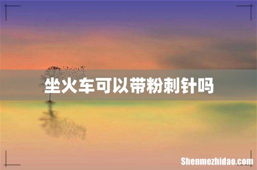 坐火车可以带粉刺针吗