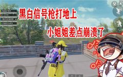 黑白人拿着枪的游戏叫什么名字 黑白人拿着枪的游戏叫什么名字啊