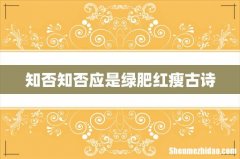 知否知否应是绿肥红瘦古诗