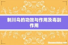 制川乌的功效与作用及毒副作用