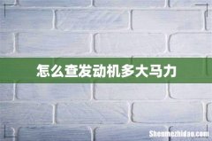 怎么查发动机多大马力