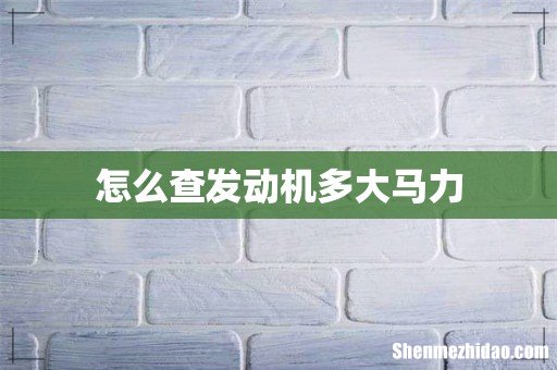 怎么查发动机多大马力
