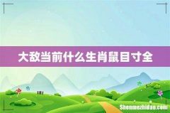 大敌当前什么生肖鼠目寸全