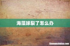 海藻球裂了怎么办