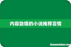 内容劲爆的小说推荐言情