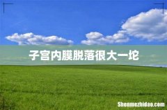 子宫内膜脱落很大一坨