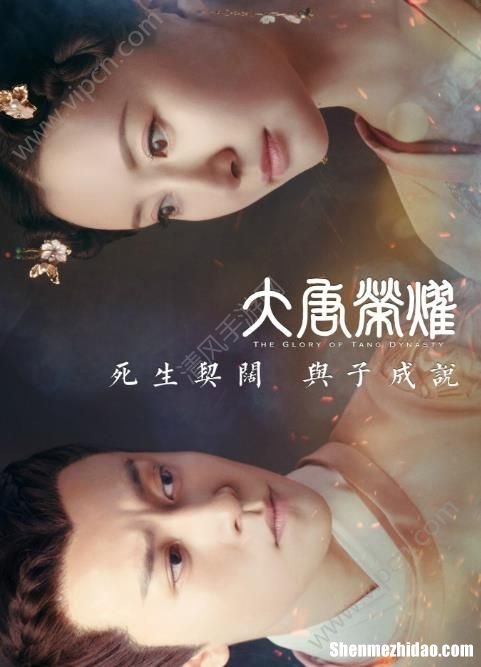 大唐荣耀为什么看不了直播 大唐荣耀为什么网络上看不了