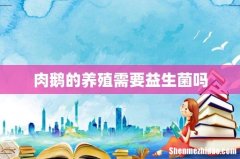 肉鹅的养殖需要益生菌吗
