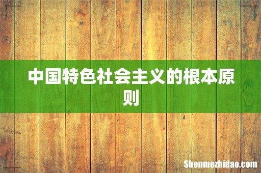 中国特色社会主义的根本原则