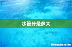 水管分是多大