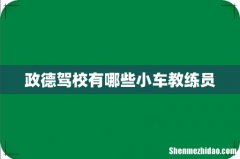 政德驾校有哪些小车教练员